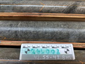 Ddh26l002 42.55 42.8m Vl