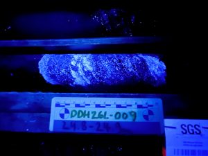 Ddh26l 009 24.8 24.9m Uv Enhanced