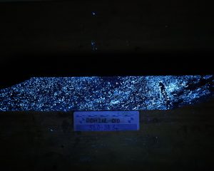 Ddh26l 010 38 38.3m Uv Copy