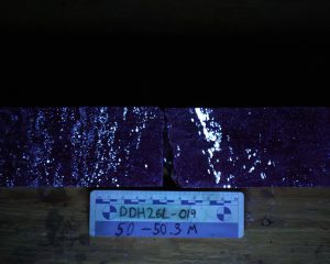 Img 2942