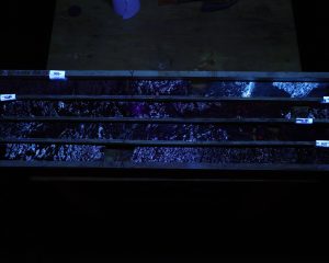 Ddh26l 026 Bx13 Uv